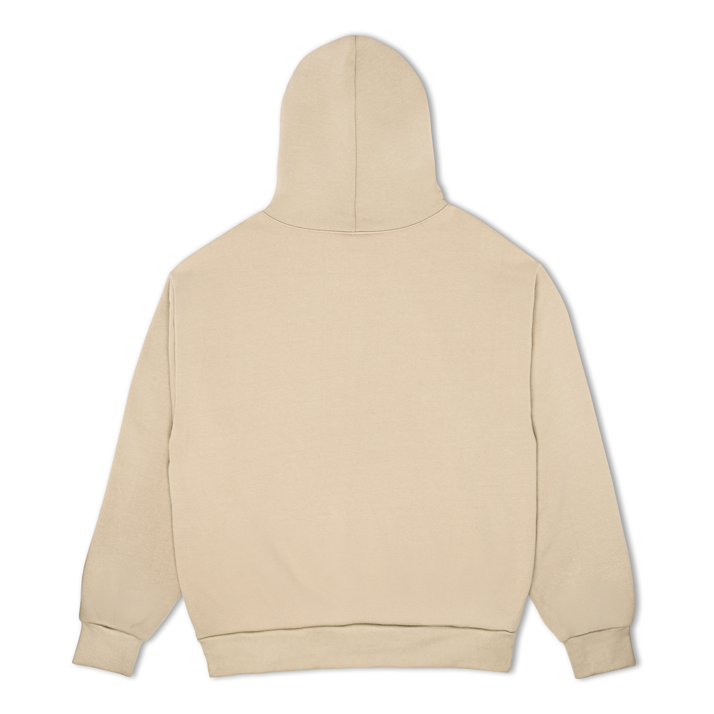 CLASSIC LOGO PENTA HOODED SWEATSHIRT TAUPE